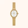 Elegant Mother of Pearl Dial Gold Oval Watch for Women