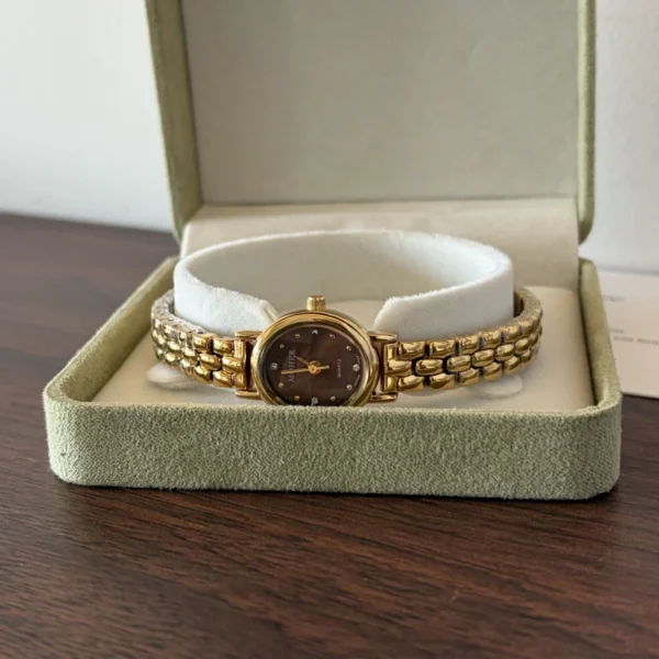 Vintage Brown Oval Dial Gold Link Bracelet Watch for Women
