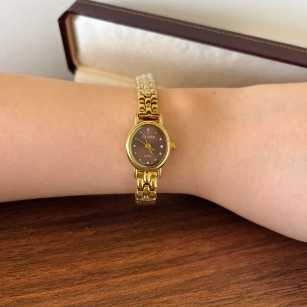 Classic Brown Round Dial Gold Woven Bracelet Watch for Women